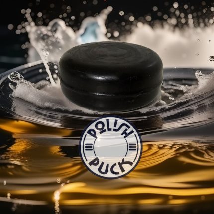 POLISH-PUCK